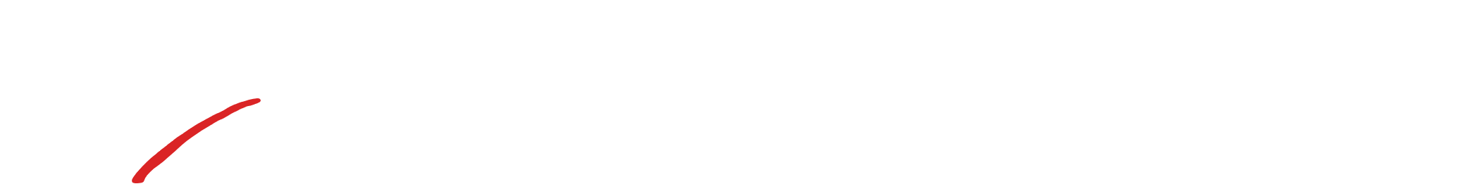 Nashville's Private Driver